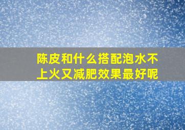 陈皮和什么搭配泡水不上火又减肥效果最好呢