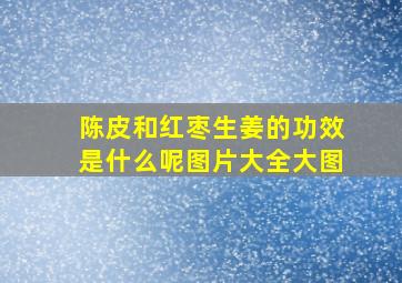 陈皮和红枣生姜的功效是什么呢图片大全大图