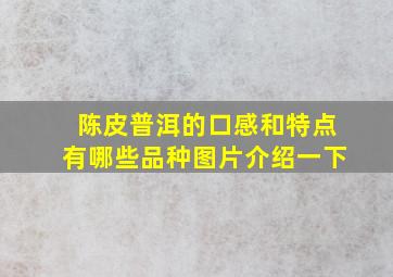 陈皮普洱的口感和特点有哪些品种图片介绍一下