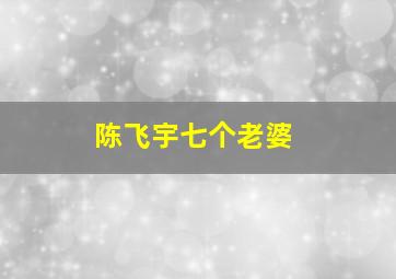 陈飞宇七个老婆