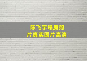 陈飞宇塌房照片真实图片高清