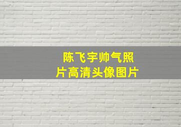 陈飞宇帅气照片高清头像图片