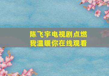 陈飞宇电视剧点燃我温暖你在线观看