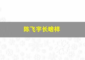 陈飞宇长啥样