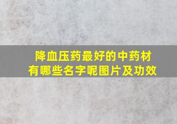 降血压药最好的中药材有哪些名字呢图片及功效