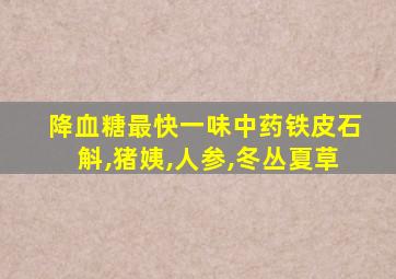 降血糖最快一味中药铁皮石斛,猪姨,人参,冬丛夏草