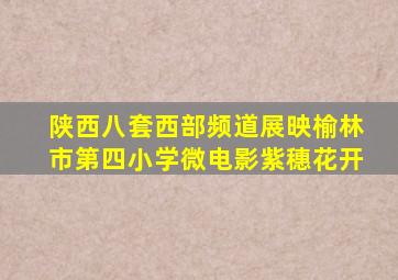 陕西八套西部频道展映榆林市第四小学微电影紫穗花开