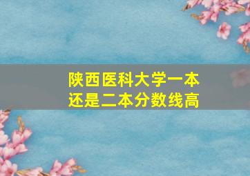 陕西医科大学一本还是二本分数线高