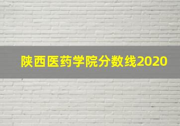 陕西医药学院分数线2020