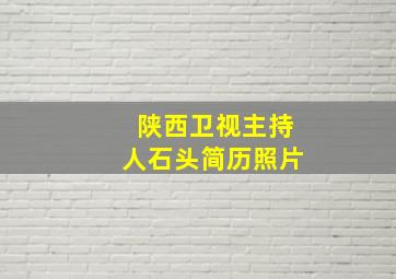 陕西卫视主持人石头简历照片