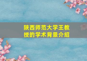 陕西师范大学王教授的学术背景介绍