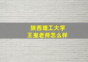 陕西理工大学王嵬老师怎么样