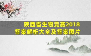 陕西省生物竞赛2018答案解析大全及答案图片