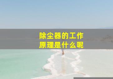 除尘器的工作原理是什么呢