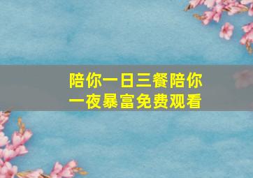 陪你一日三餐陪你一夜暴富免费观看