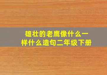 雄壮的老鹰像什么一样什么造句二年级下册