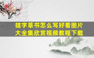 雄字草书怎么写好看图片大全集欣赏视频教程下载