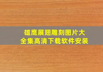 雄鹰展翅雕刻图片大全集高清下载软件安装