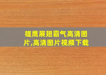 雄鹰展翅霸气高清图片,高清图片视频下载