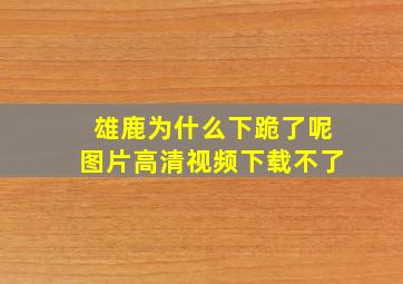 雄鹿为什么下跪了呢图片高清视频下载不了