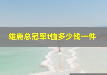 雄鹿总冠军t恤多少钱一件