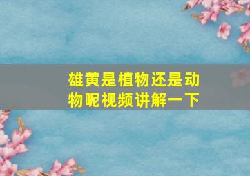 雄黄是植物还是动物呢视频讲解一下