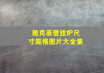 雅克菲壁挂炉尺寸规格图片大全集