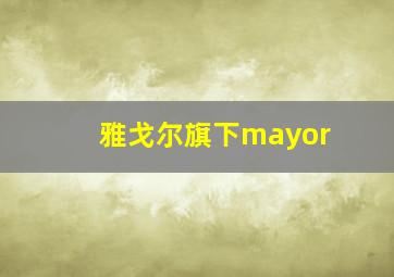 雅戈尔旗下mayor