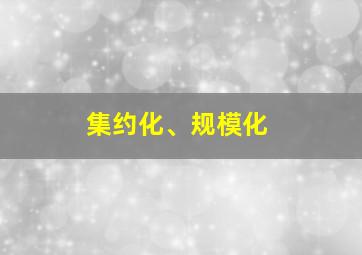 集约化、规模化