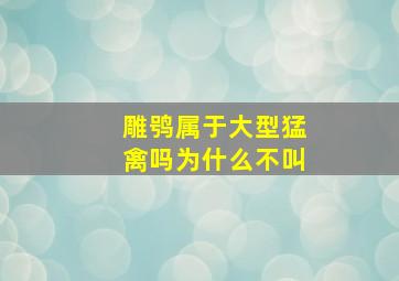 雕鸮属于大型猛禽吗为什么不叫