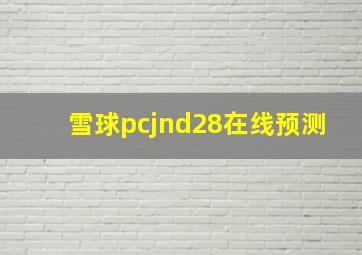 雪球pcjnd28在线预测