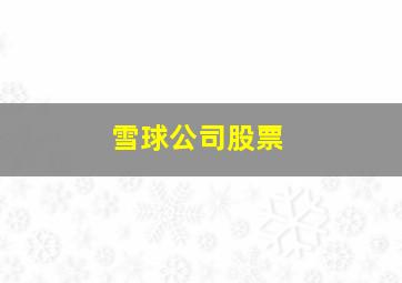 雪球公司股票