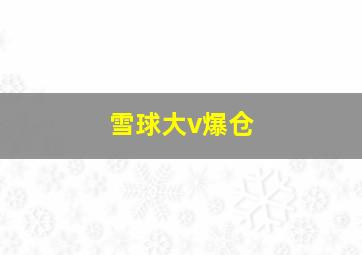 雪球大v爆仓