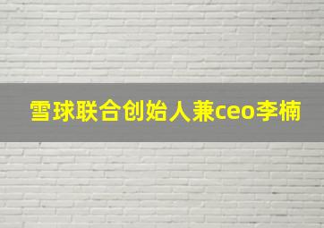 雪球联合创始人兼ceo李楠