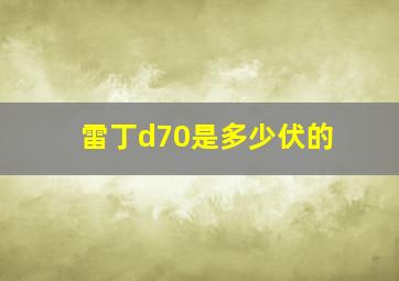 雷丁d70是多少伏的