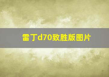 雷丁d70致胜版图片