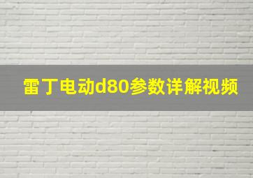 雷丁电动d80参数详解视频