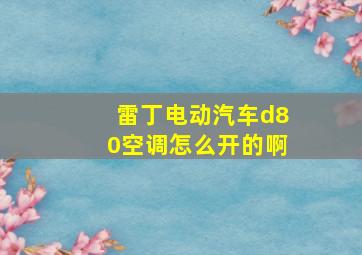 雷丁电动汽车d80空调怎么开的啊