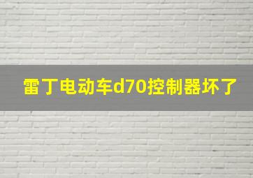 雷丁电动车d70控制器坏了