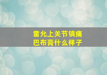 雷允上关节镇痛巴布膏什么样子