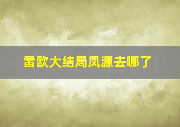 雷欧大结局凤源去哪了