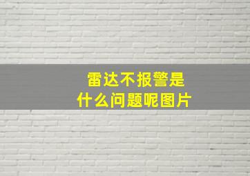 雷达不报警是什么问题呢图片