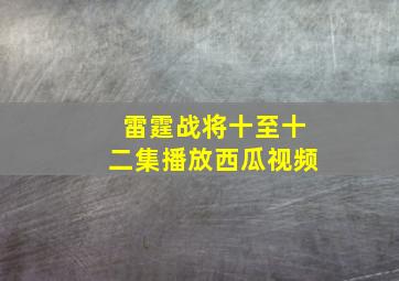 雷霆战将十至十二集播放西瓜视频