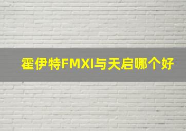 霍伊特FMXI与天启哪个好