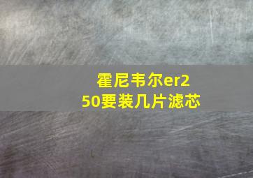 霍尼韦尔er250要装几片滤芯