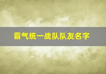 霸气统一战队队友名字