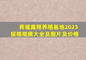 青城鑫翔养殖基地2023探视视频大全及图片及价格