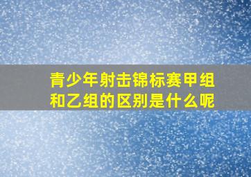 青少年射击锦标赛甲组和乙组的区别是什么呢