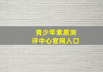 青少年素质测评中心官网入口