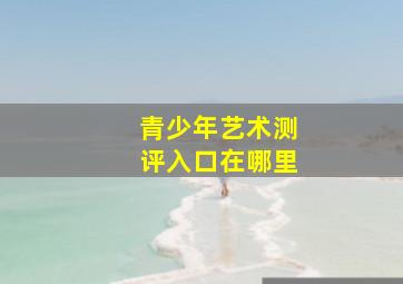 青少年艺术测评入口在哪里